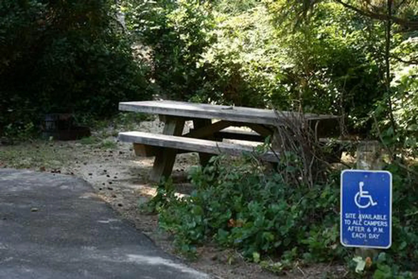 Tahkenitch Campground — TAHKENITCH CAMPGROUND