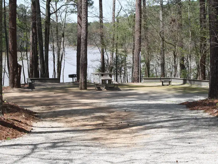 Hawe Creek — Site 4