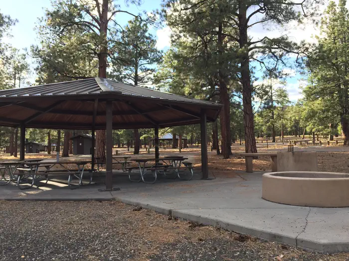 Oleary Group Site — O'Leary Group Campground Site 1