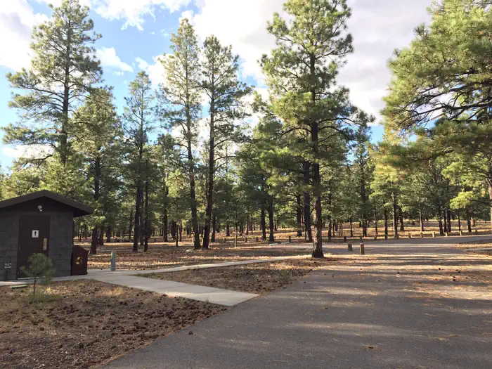 Oleary Group Site — O'Leary Group Campground and Restrooms