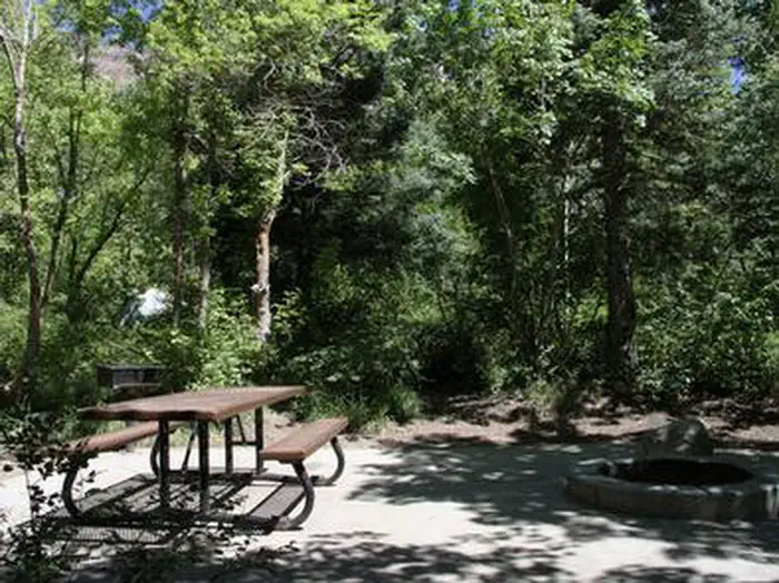Tanners Flat — TANNERS FLAT