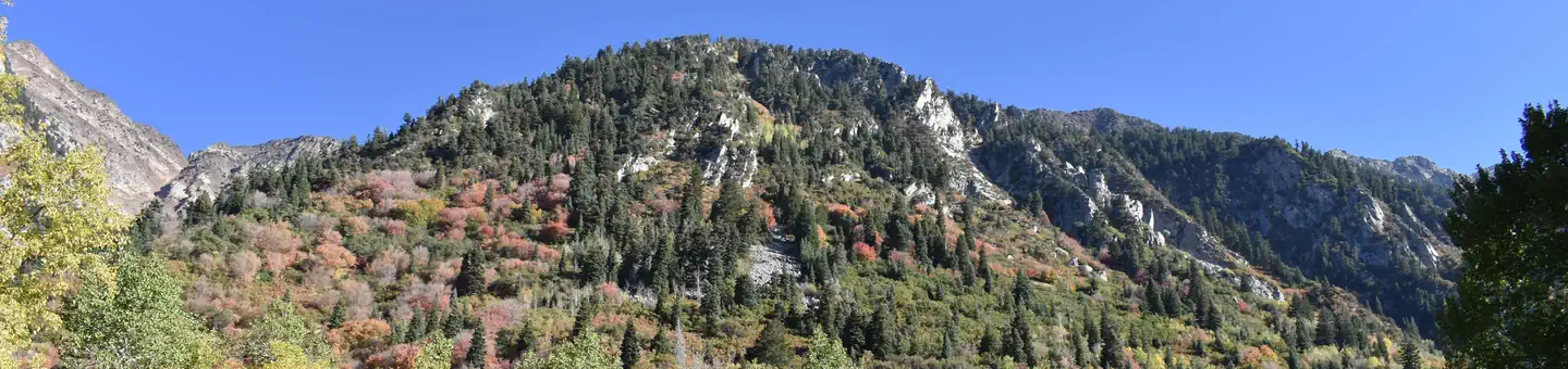 Tanners Flat