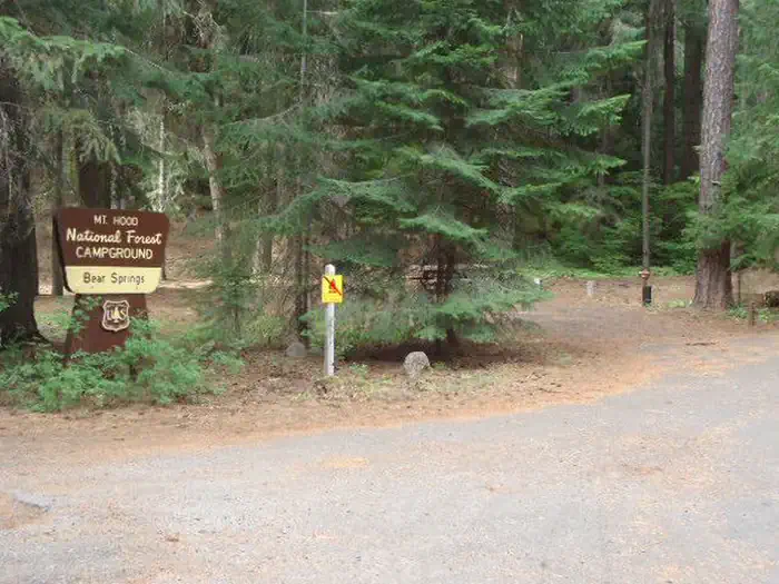 Bear Springs Campground — Bear Springs
