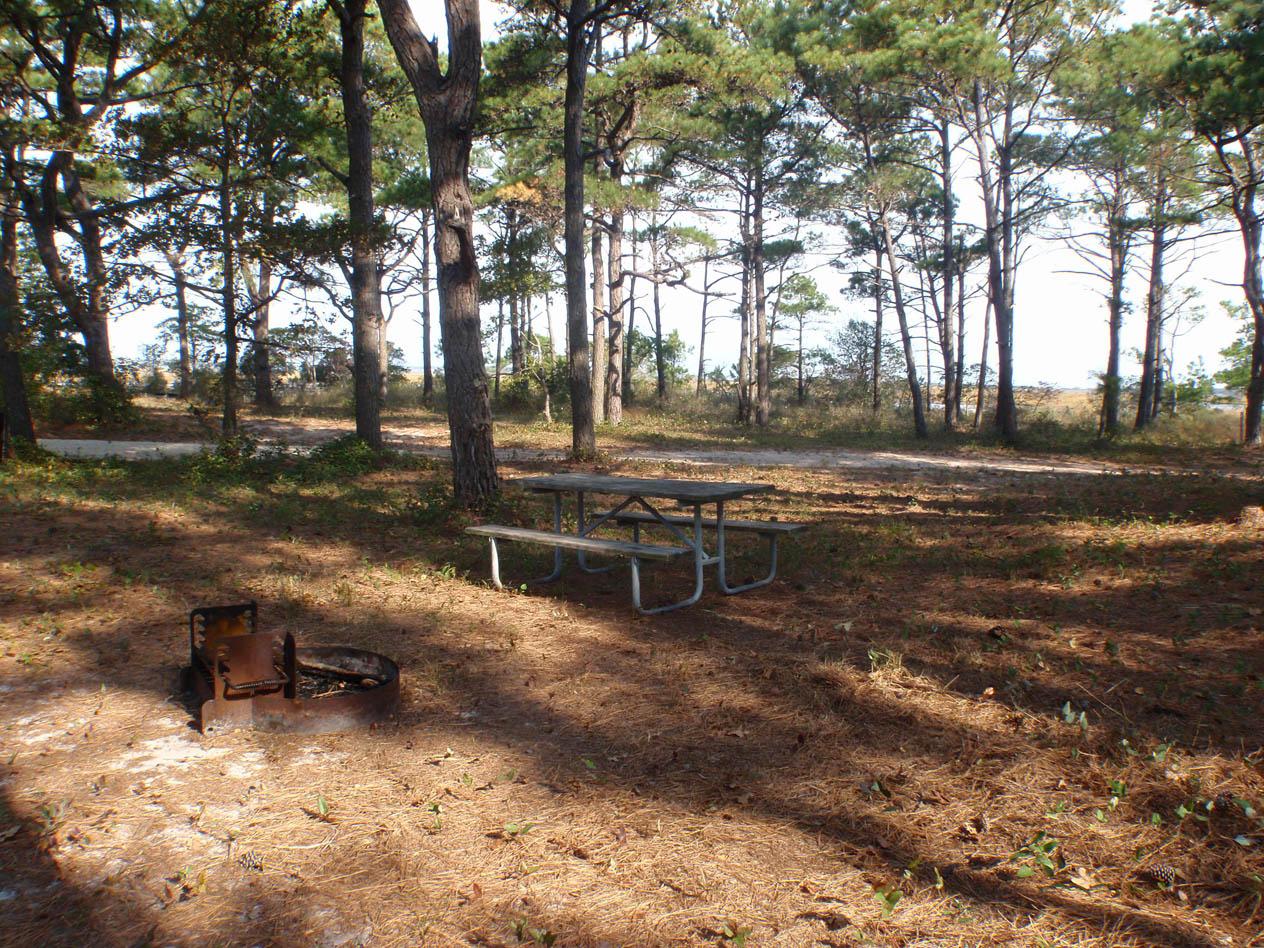Back Country Camping - Tingles Island