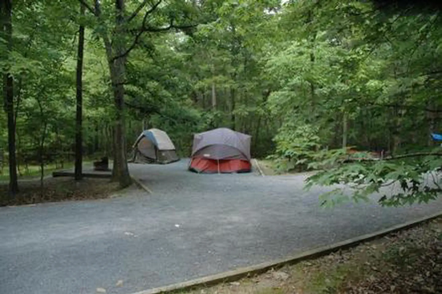 Trout Pond Recreation Area — Trout Pond Recreation Area