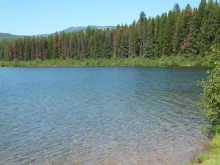 Lake Inez Point 6 (group Camp Site) — Lake Inez, Montana.
