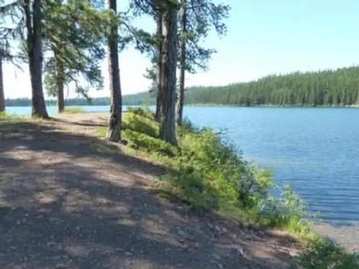 Lake Inez Point 6 (group Camp Site) — The "Point" At Lake Inez Point 6, looking southwest.