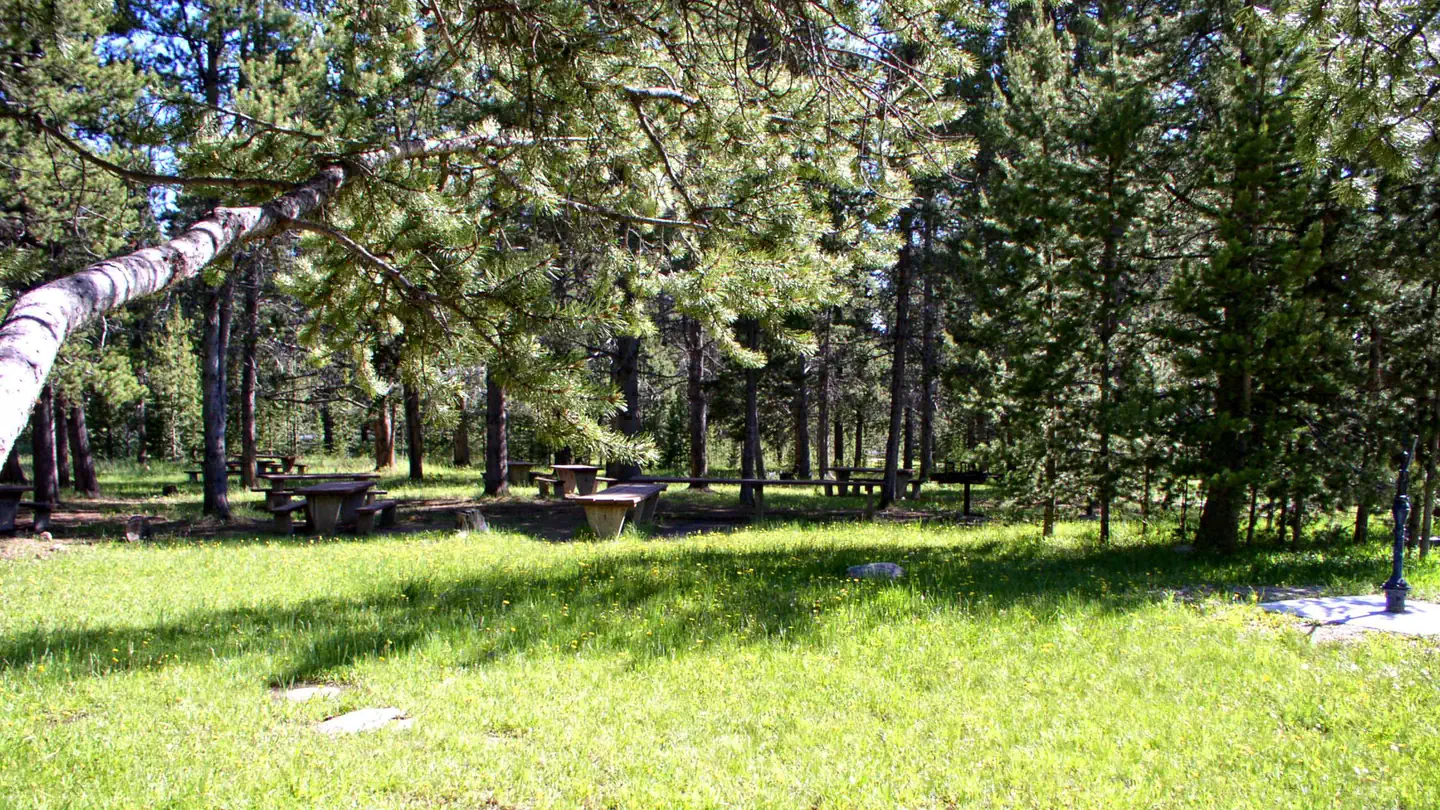 Willow Park
