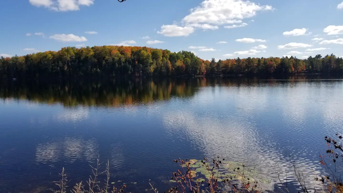 Ewing Point Rustic Campsite