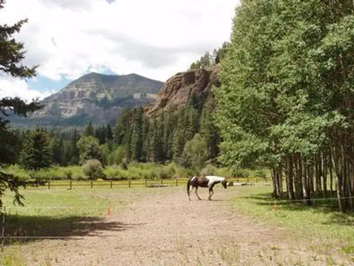 Palisades Horse Camp — PALISADES HORSE CAMP