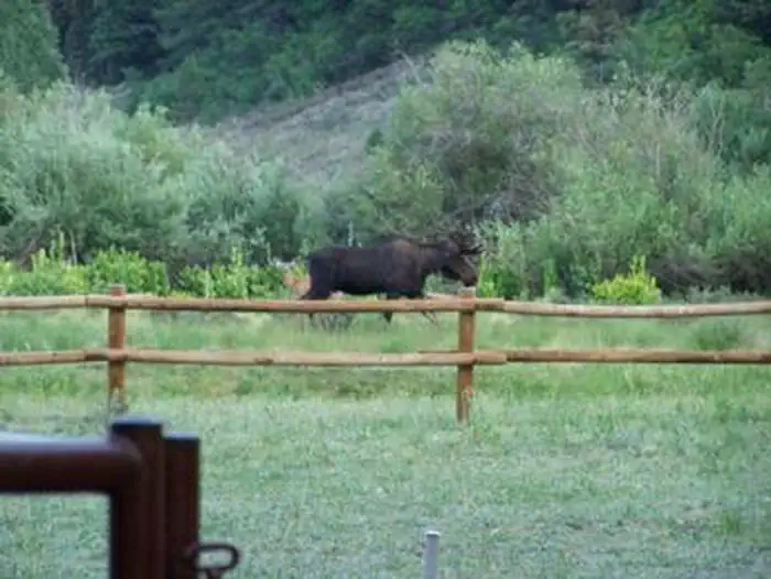 Palisades Horse Camp — PALISADES HORSE CAMP