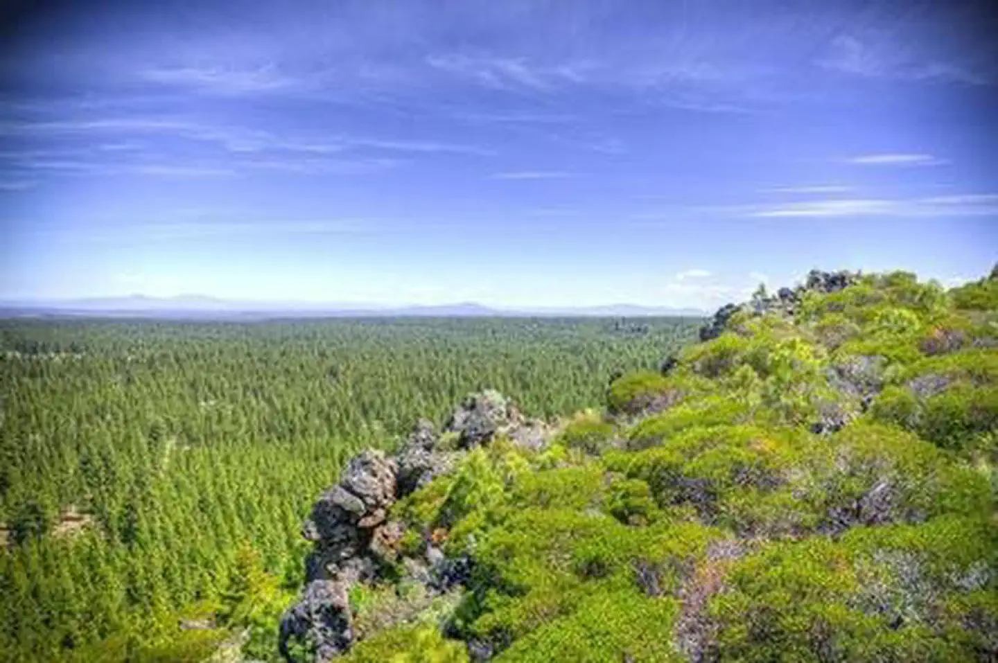 Three Creeks Meadow Horse Camp — THREE CREEKS MEADOW HORSE CAMP