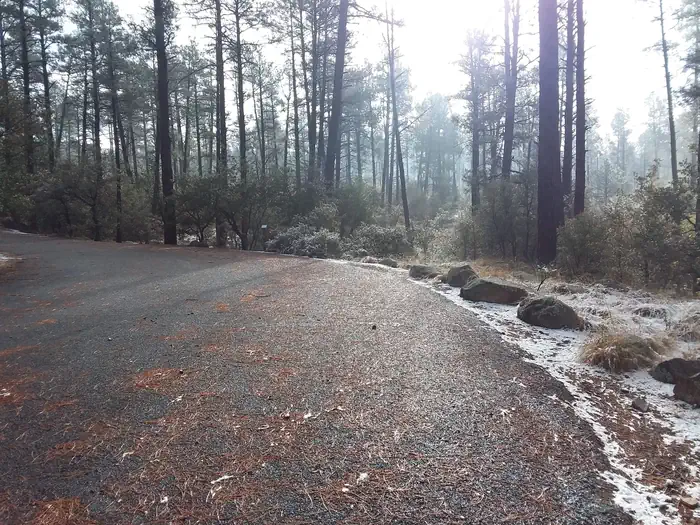 White Spar Campground — White Spar Campground Paved Road