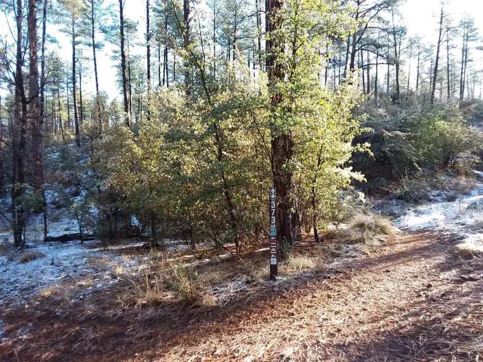 White Spar Campground — White Spar Campground Trail
