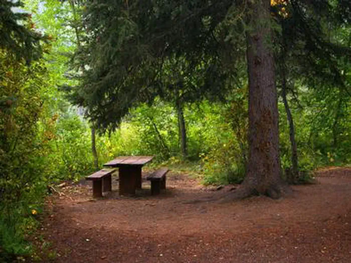 Little Cottonwood Group β LITTLE COTTONWOOD GROUP