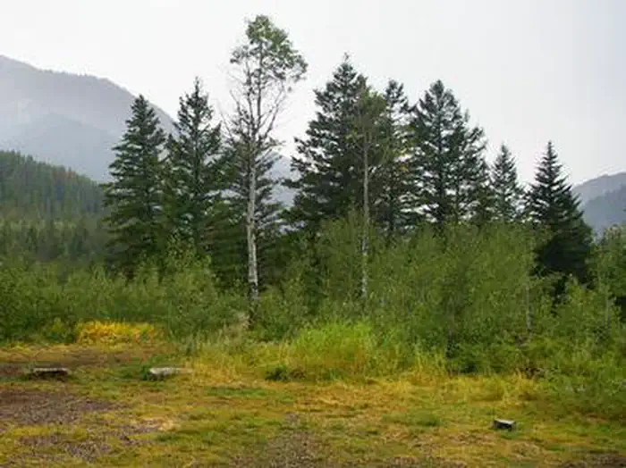 Little Cottonwood Group