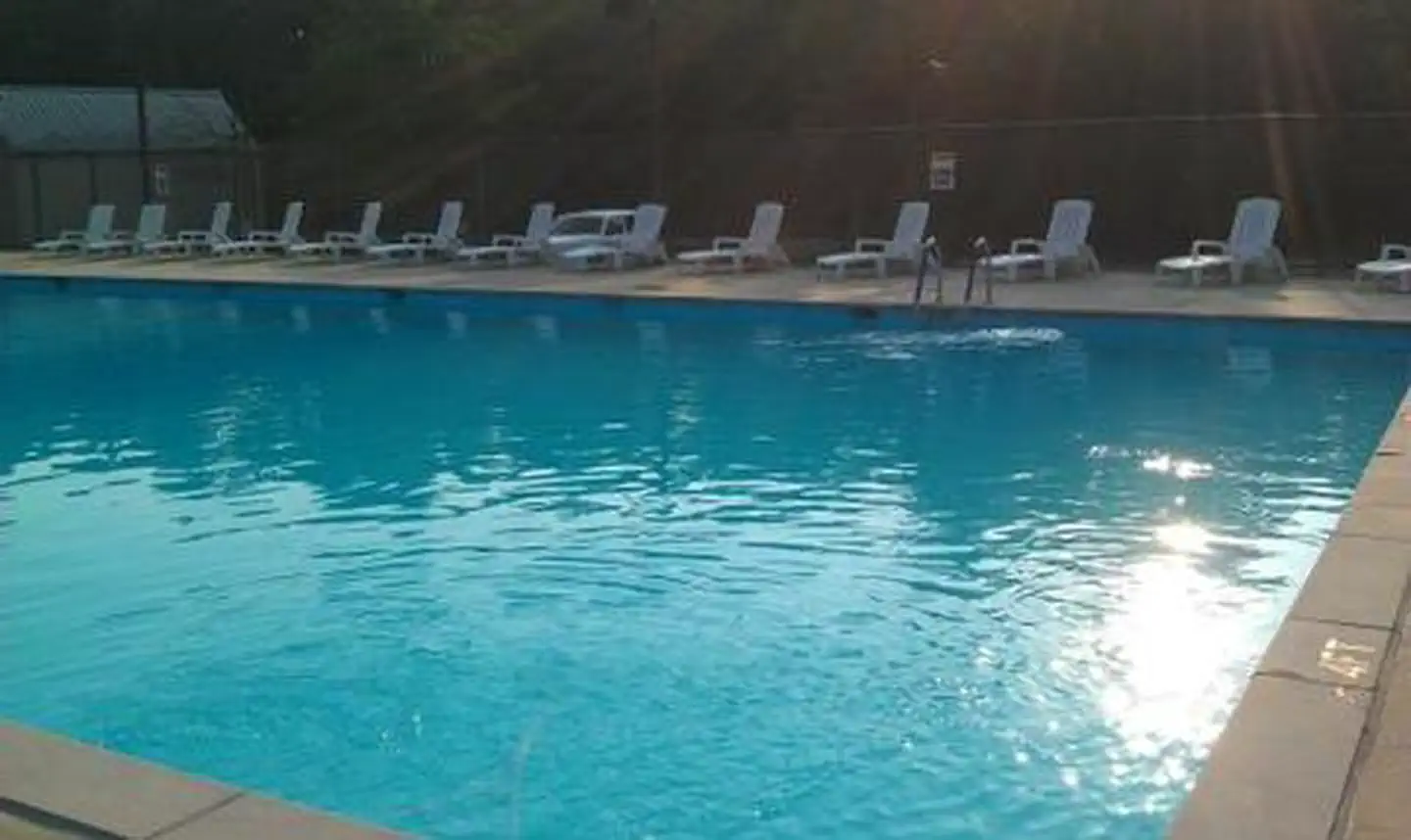 Bandy Creek — Swimming pool with reclining chairs placed around the edge of the pool