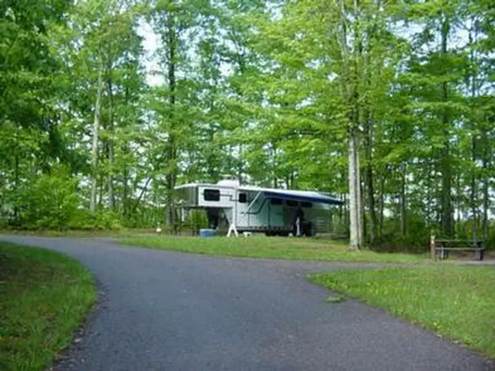 Bandy Creek — Bandy Creek Campground road with fifth-wheel horse trailer in a campsite in Loop B. Grass and green trees.