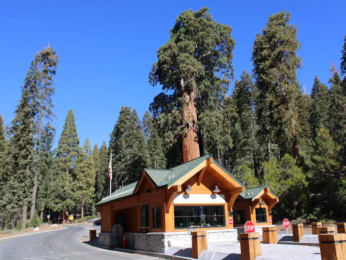 Crystal Springs Campground - Kings Canyon National Park — KCNP ENTRANCE STATION
