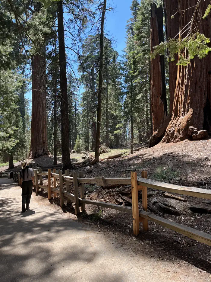 Crystal Springs Campground - Kings Canyon National Park — Grant Tree Trail