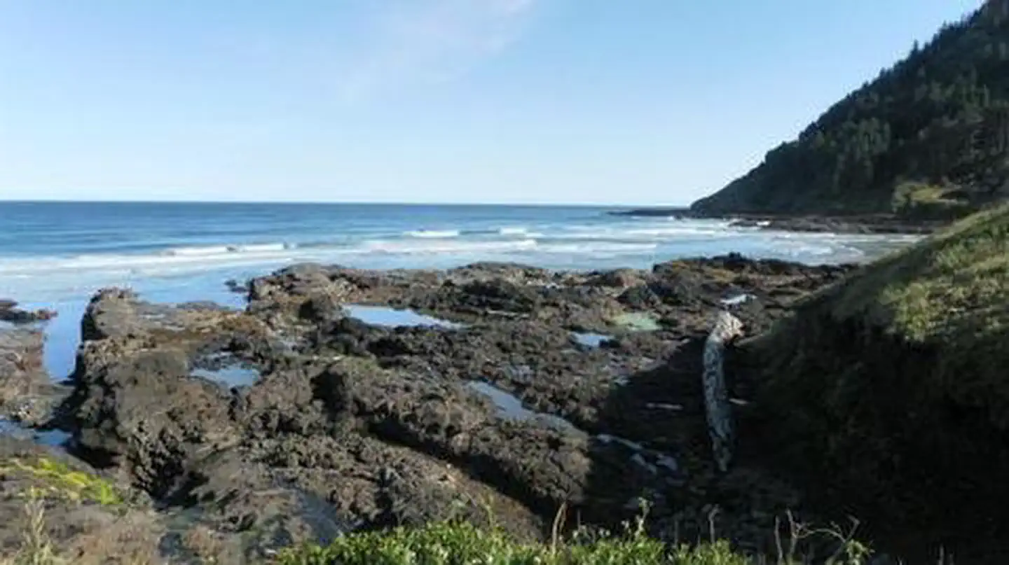 Cape Perpetua — CAPE PERPETUA