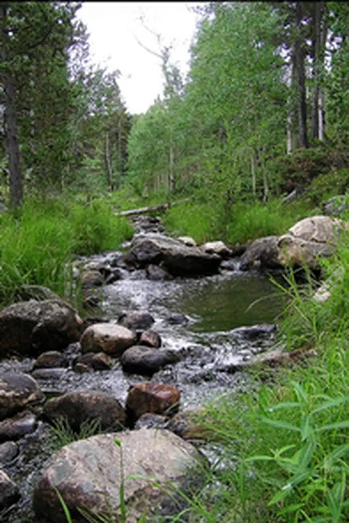 Green Mountain
