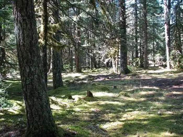 Riley Horse Campground — RILEY HORSE CAMPGROUND