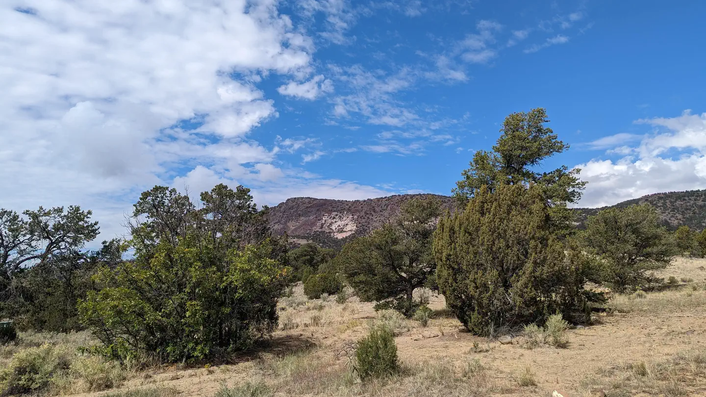 Coal Mine Campground