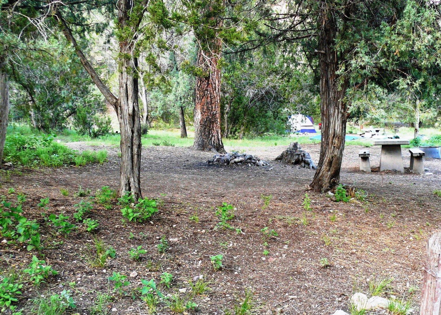 Upper Scorpion Campground — Upper Scorpion Campground