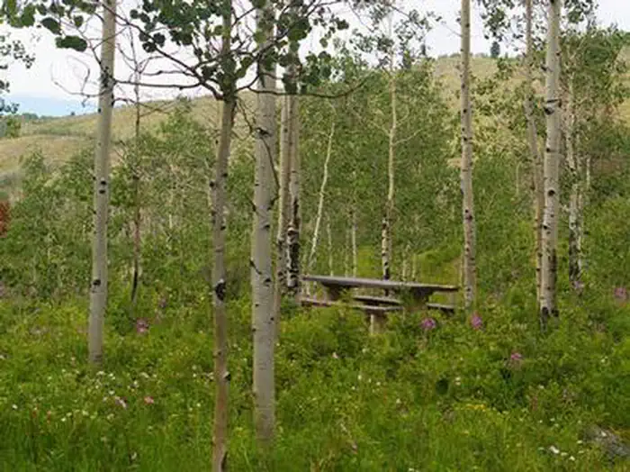Narrows Campground — NARROWS CAMPGROUND