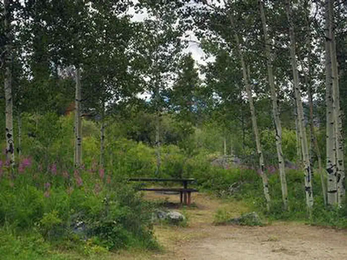 Narrows Campground — NARROWS CAMPGROUND