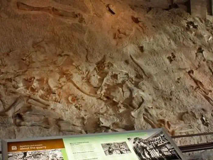 Green River Campground — "Wall of Dinosaur Bones"