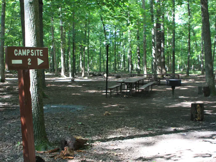 Marsden Tract Group Campsite — Campsite 2