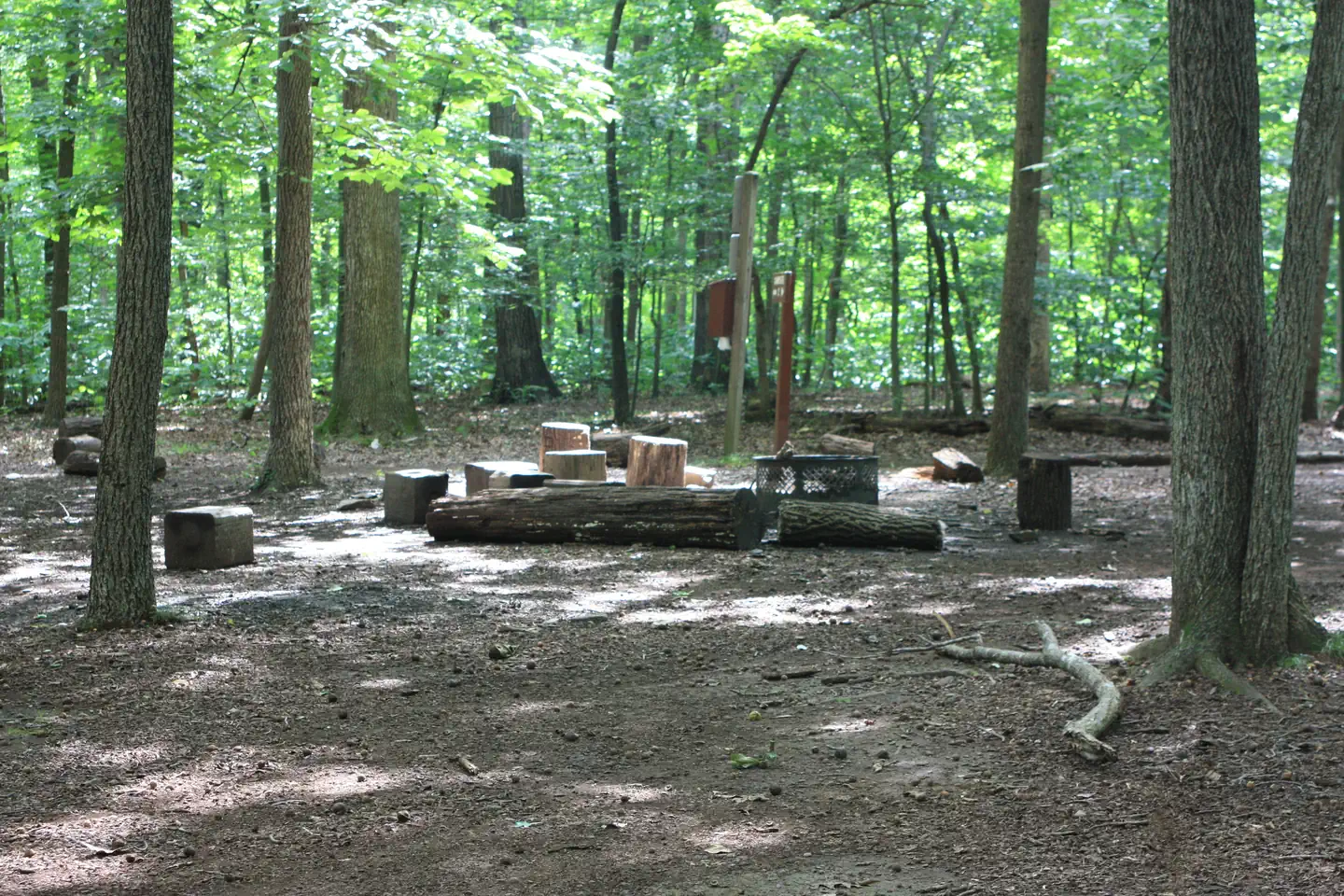 Marsden Tract Group Campsite — Campsite around fire pit with large tree stumps