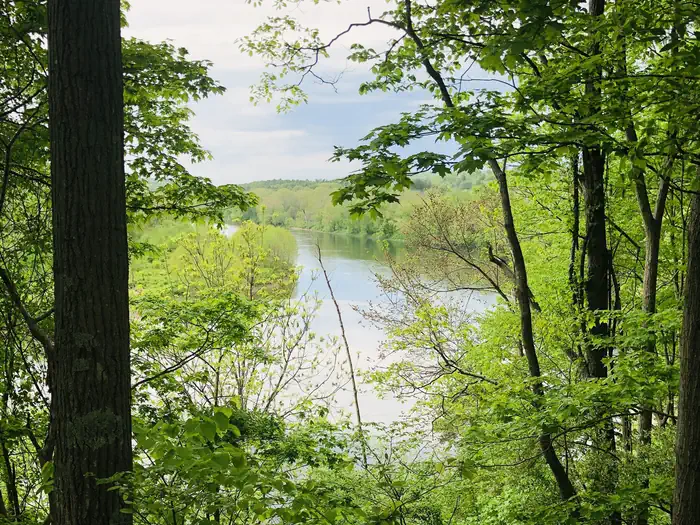 Rivers Bend Group Campground — View of the Delaware River.