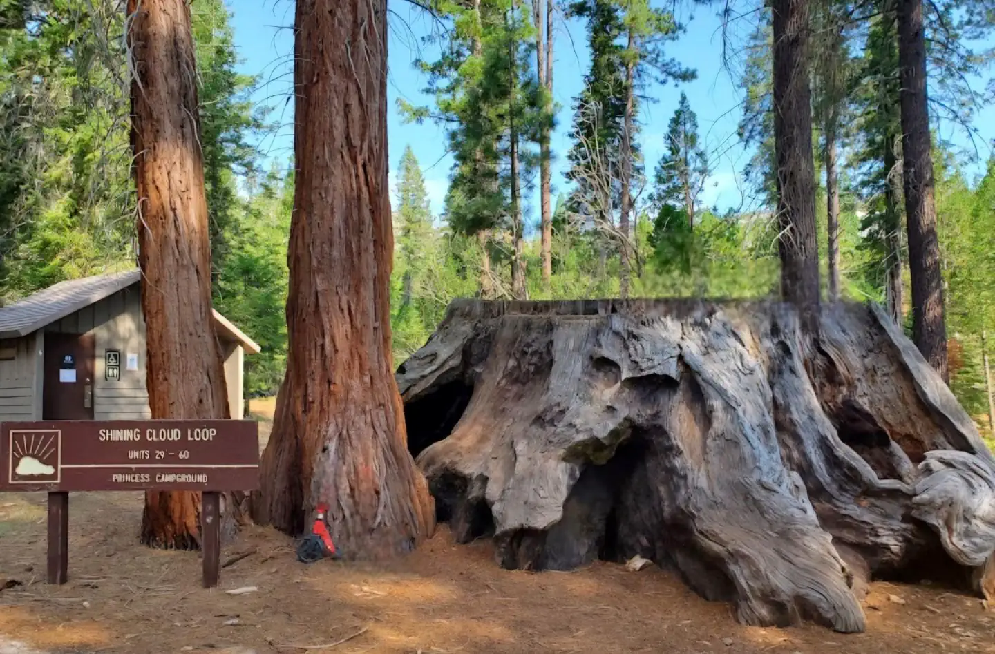 Princess — Shining Cloud Loop at Princess Campground