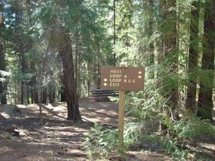 Alpine View Campground — ALPINE VIEW CAMPGROUND4