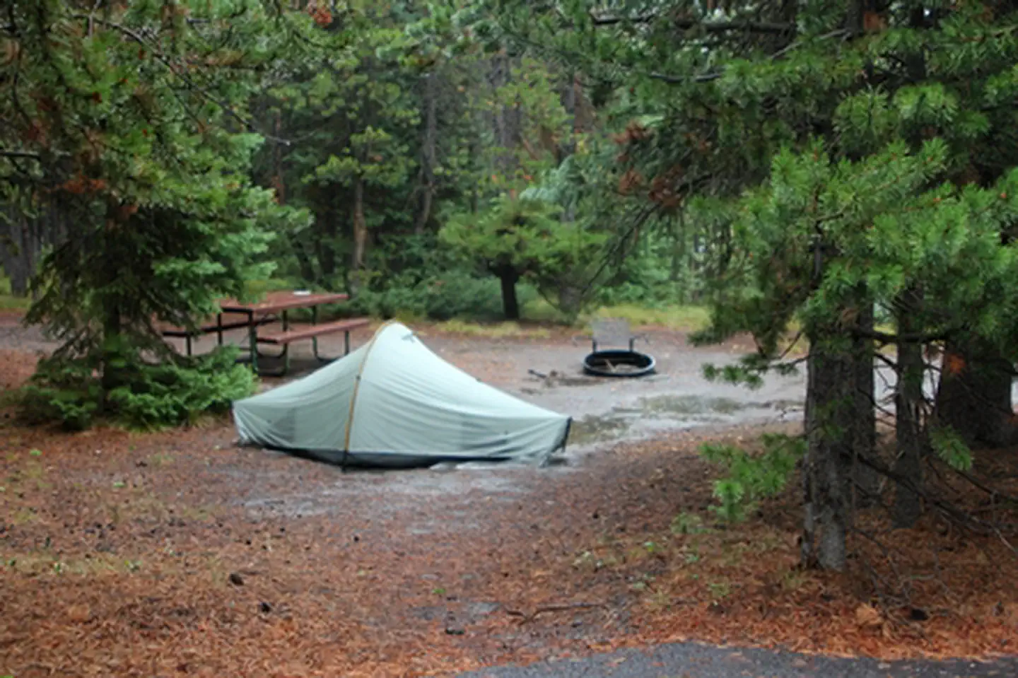 Grant Village Campground — Grant Village Campground
