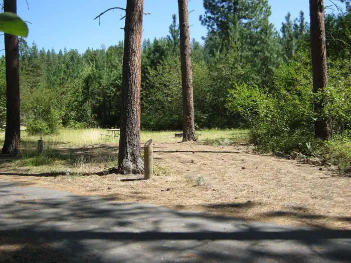 Hunters Campground — Hunters Campground trees and bushes in the background