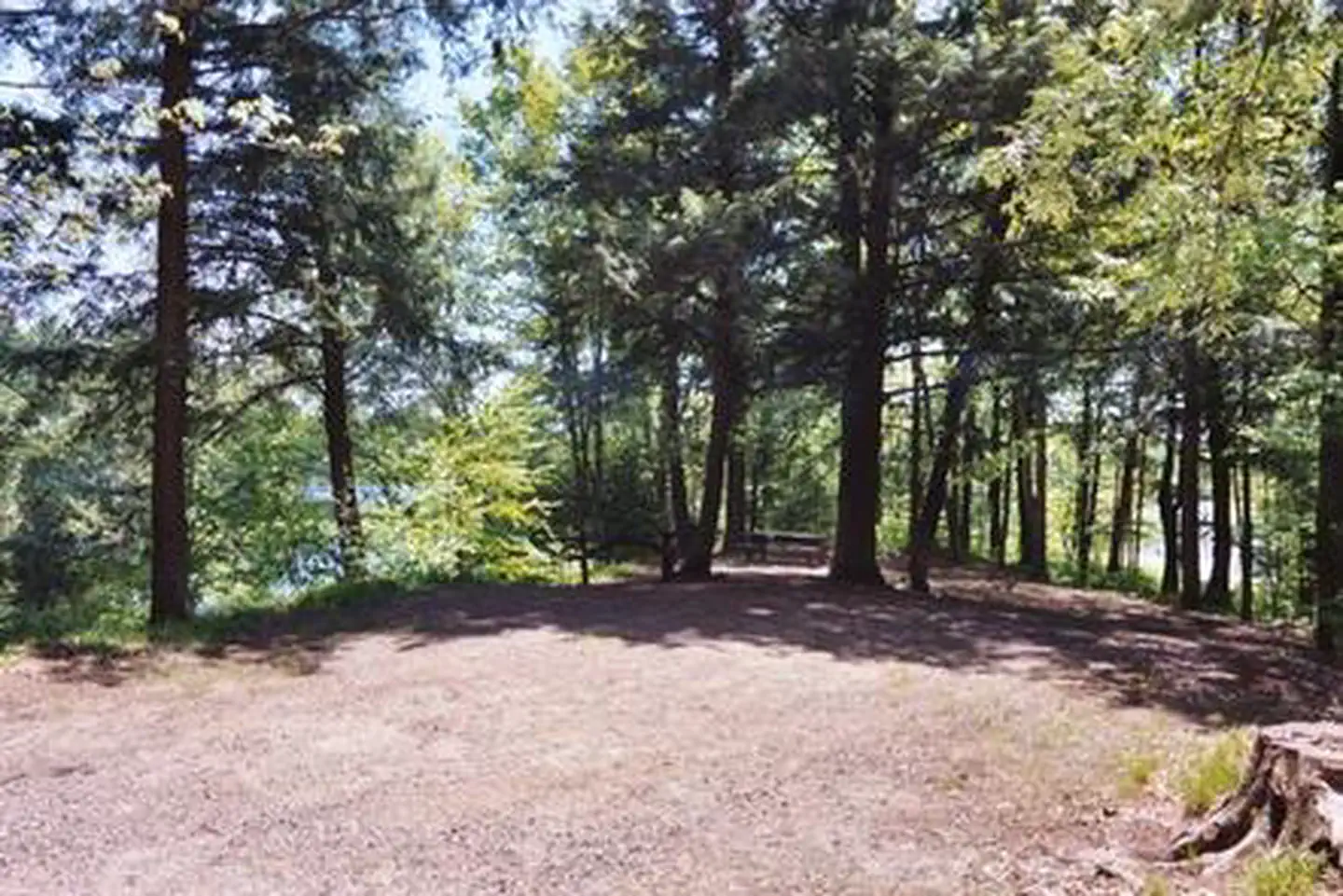 Spearhead Point β Sun peeks through trees at a campsite
