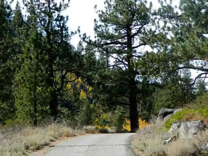 Kit Carson Campground — KIT CARSON CAMPGROUND