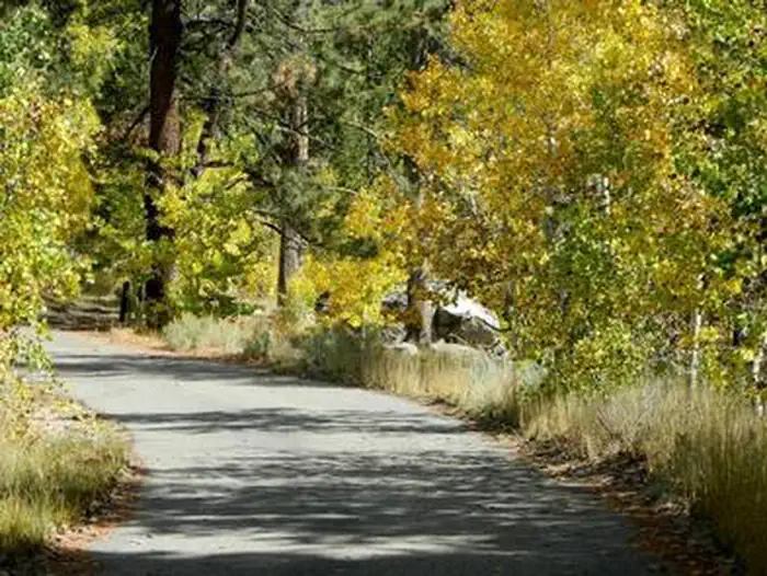 Kit Carson Campground — KIT CARSON CAMPGROUND