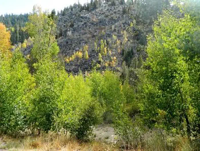 Kit Carson Campground — KIT CARSON CAMPGROUND
