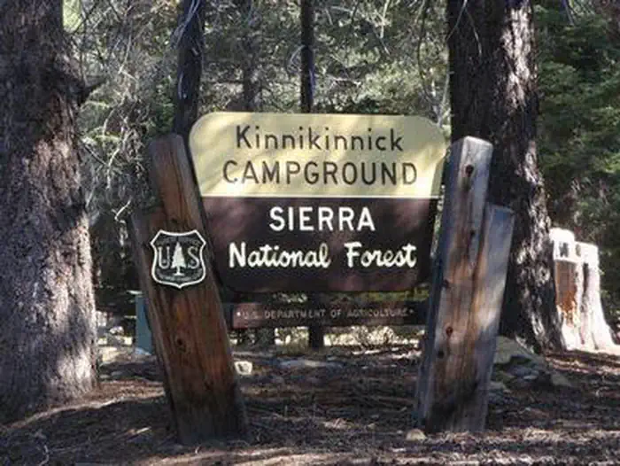 Kinnikinnick - Sierra NF — KINNIKINNICK