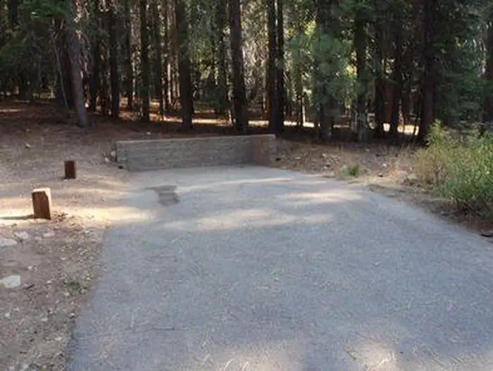 Kinnikinnick - Sierra NF — KINNIKINNICK