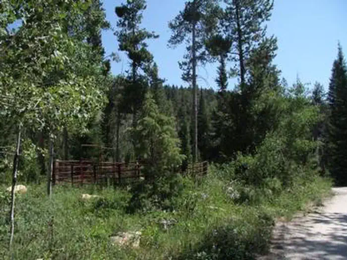 North Fork Campground - St. Charles Canyon — NORTH FORK CAMPGROUND - St. CHARLES CANYON