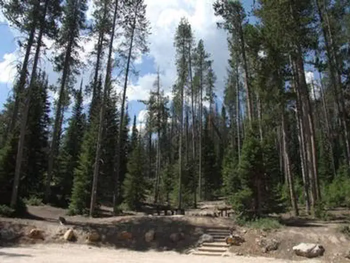 North Fork Campground - St. Charles Canyon — NORTH FORK CAMPGROUND - St. CHARLES CANYON