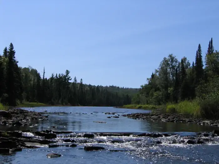 Fort Charlotte Backcountry Campgrounds — Pigeon River Scenary