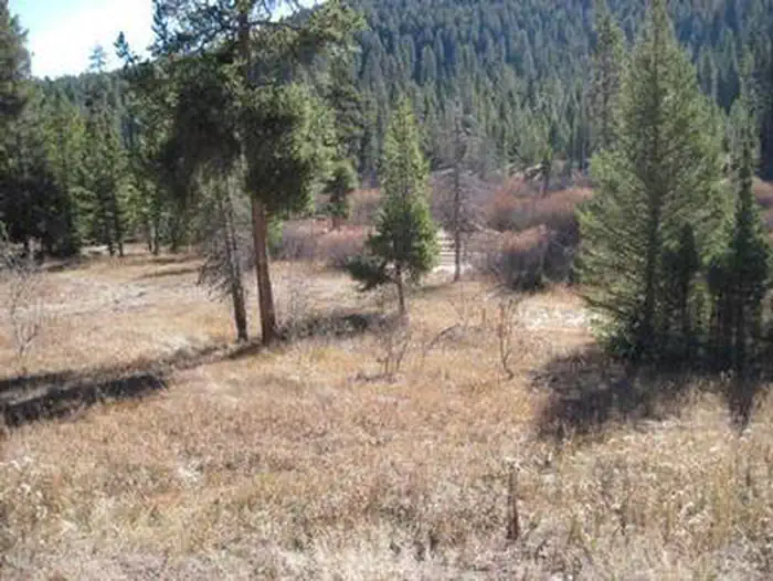 Steel Creek Group Campground — STEEL CREEK GROUP CAMPGROUND