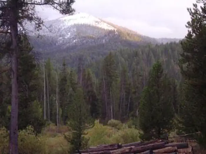 Steel Creek Group Campground — STEEL CREEK GROUP CAMPGROUND